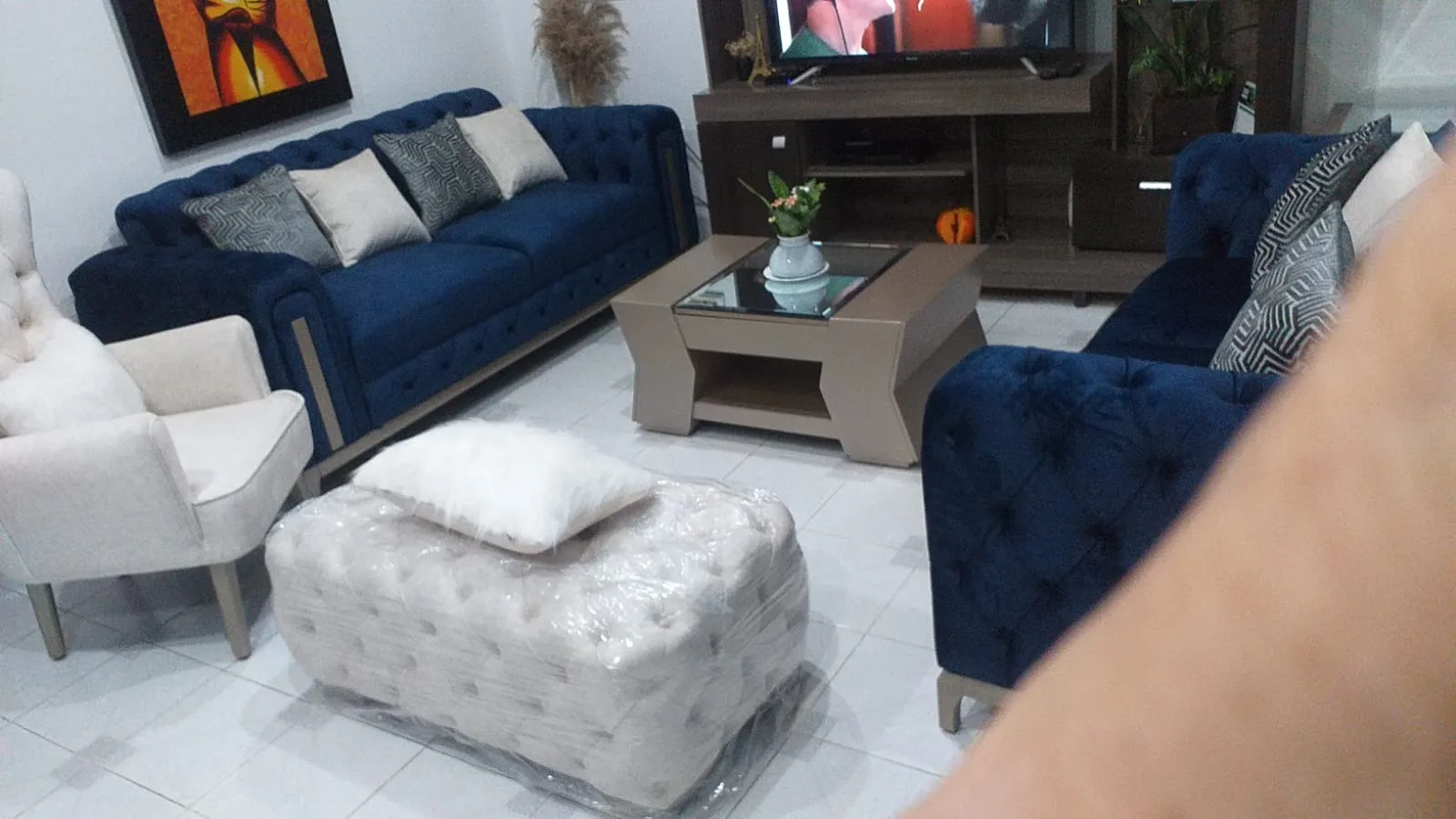 Sillon CAPRINI